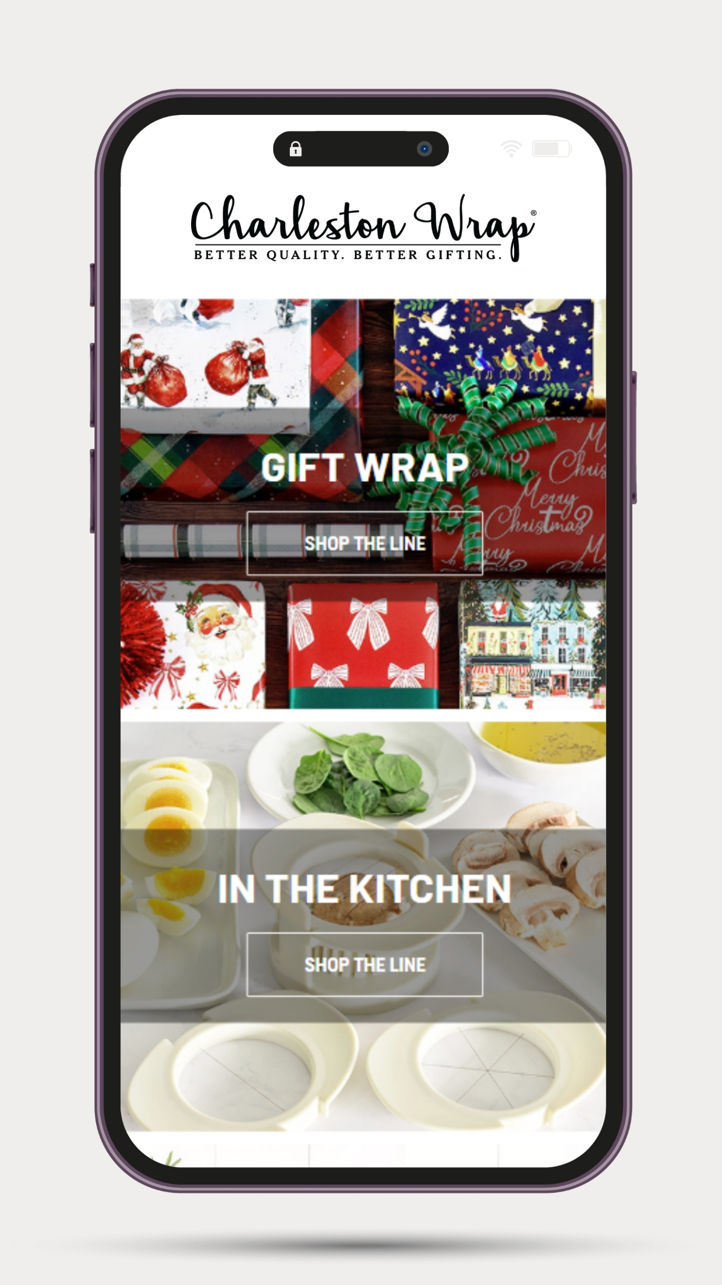 Preview of the Charleston Wrap online store